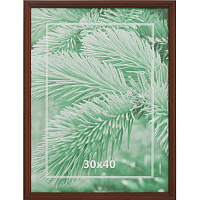 Рамка А3 30x40 см деревянный багет 17 мм мокко фото Рамка А3 30x40 см деревянный багет 17 мм мокко