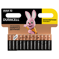 Батарейка ААА мизинчиковая Duracell (12 штук в упаковке) фото Батарейка ААА мизинчиковая Duracell (12 штук в упаковке)