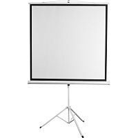 Экран для проектора Digis 200x200 (DSKD-1106) фото Экран для проектора Digis 200x200 (DSKD-1106)