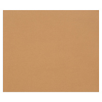Цветная бумага 500*650мм, Clairefontaine "Tulipe", 25л., 160г/м2, светло-коричневый, легкое зерно, 100%целлюлоза фото Цветная бумага 500*650мм, Clairefontaine "Tulipe", 25л., 160г/м2, светло-коричневый, легкое зерно, 100%целлюлоза