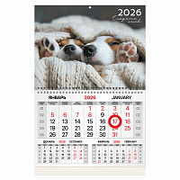 Календарь квартальный 2026 г., 1 блок, 1 гребень, магнитный курсор, мелованная бумага, BRAUBERG, "Носики", 116922 фото Календарь квартальный 2026 г., 1 блок, 1 гребень, магнитный курсор, мелованная бумага, BRAUBERG, "Носики", 116922