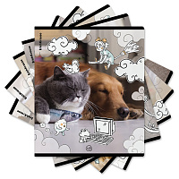 Тетрадь обложка пластик, А5, 48 л., скоба, клетка, ErichKrause, "Dream Cat" (микс в спайке), 54161