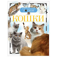 Энциклопедия Росмэн 170*220, "Детская энциклопедия Росмэн. Кошки", 96стр., 10+ фото Энциклопедия Росмэн 170*220, "Детская энциклопедия Росмэн. Кошки", 96стр., 10+