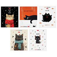 Тетрадь обложка пластик, А5, 48 л., скоба, линия, HATBER, "Котэ" (микс в спайке), 091627, 48Т5В2пл