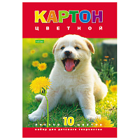 Картон цветной А4 МЕЛОВАННЫЙ, 10 листов 10 цветов, в папке, HATBER ECO, 195х290 мм, "Белый щенок", 043288, 10Кц4_03414 фото Картон цветной А4 МЕЛОВАННЫЙ, 10 листов 10 цветов, в папке, HATBER ECO, 195х290 мм, "Белый щенок", 043288, 10Кц4_03414