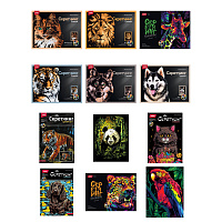 Гравюра в технике Скретчинг "Животные" АССОРТИ, цветная основа 30х40 см, штихель, LORI, 001