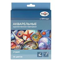 Карандаши акварельные художественные Гамма "Студия", 36цв., заточен., картон. упаковка фото Карандаши акварельные художественные Гамма "Студия", 36цв., заточен., картон. упаковка