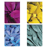Блокнот А5 (146х206 мм), 80 л., гребень, картон, клетка, BRAUBERG, "Яркие листья", 114372 фото Блокнот А5 (146х206 мм), 80 л., гребень, картон, клетка, BRAUBERG, "Яркие листья", 114372