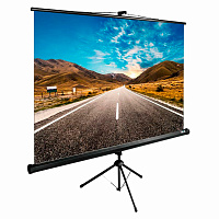 Экран для проектора Cactus TriExpert CS-PSTE-160x160-BK 160x160 фото Экран для проектора Cactus TriExpert CS-PSTE-160x160-BK 160x160