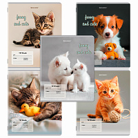 Тетрадь 12 л. BRAUBERG косая линия, обложка картон, CATS AND DOGS, 107288 фото Тетрадь 12 л. BRAUBERG косая линия, обложка картон, CATS AND DOGS, 107288