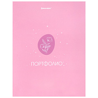 Папка-портфолио универсальная, 4 кольца, 20 файлов 10 вкладышей, 7БЦ матовая, BRAUBERG, Дизайн2, 117558 фото Папка-портфолио универсальная, 4 кольца, 20 файлов 10 вкладышей, 7БЦ матовая, BRAUBERG, Дизайн2, 117558