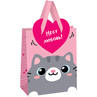 Пакет подарочный 18*23*10см MESHU "Give love", фольга, матовая ламинация фото Пакет подарочный 18*23*10см MESHU "Give love", фольга, матовая ламинация