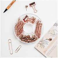Набор канцелярский Meshu Rose Gold 4 отделения (зажимы для бумаг 19 мм, скрепки канцелярские 28 мм, скрепки канцелярские 50 мм, силовые кнопки) фото Набор канцелярский Meshu Rose Gold 4 отделения (зажимы для бумаг 19 мм, скрепки канцелярские 28 мм, скрепки канцелярские 50 мм, силовые кнопки)