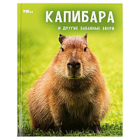 Энциклопедия Умка 197*255, "Капибара и другие забавные звери", 48стр. фото Энциклопедия Умка 197*255, "Капибара и другие забавные звери", 48стр.