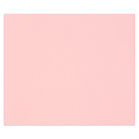 Цветная бумага 500*650мм, Clairefontaine "Tulipe", 25л., 160г/м2, светло-розовый, легкое зерно, 100%целлюлоза фото Цветная бумага 500*650мм, Clairefontaine "Tulipe", 25л., 160г/м2, светло-розовый, легкое зерно, 100%целлюлоза