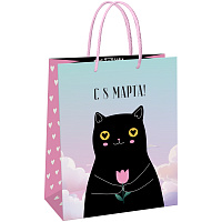 Пакет подарочный 11*14*6,5см MESHU "Black cat", глянцевая ламинация фото Пакет подарочный 11*14*6,5см MESHU "Black cat", глянцевая ламинация