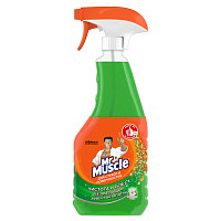 Средство для стекол и зеркал Mr.Muscle 500 мл (с нашатырным спиртом) фото Средство для стекол и зеркал Mr.Muscle 500 мл (с нашатырным спиртом)