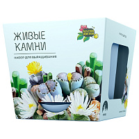 Набор для выращивания растений МАГИЯ ЦВЕТОВ "Живые камни Литопсы" (горшок, грунт, семена), mf-004 фото Набор для выращивания растений МАГИЯ ЦВЕТОВ "Живые камни Литопсы" (горшок, грунт, семена), mf-004