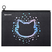 Папка для тетрадей BRAUBERG А4, 1 отделение, пластик, на zip-lock молнии, "Pretty face", 273319