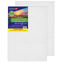 Холсты на картоне НАБОР 2 штуки (40х60 см), хлопок, грунт, 280 г/м2, BRAUBERG ART CLASSIC, 192656