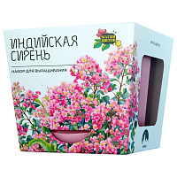 Набор для выращивания растений МАГИЯ ЦВЕТОВ "Индийская сирень" (горшок, грунт, семена), mf-020 фото Набор для выращивания растений МАГИЯ ЦВЕТОВ "Индийская сирень" (горшок, грунт, семена), mf-020