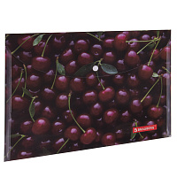 Папка-конверт с кнопкой BRAUBERG "CHERRY", А4, 160 мкм, до 100 листов, цветная печать, 228037 фото Папка-конверт с кнопкой BRAUBERG "CHERRY", А4, 160 мкм, до 100 листов, цветная печать, 228037