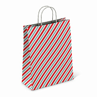 Крафт-пакет бумажный "Узкая полоса" 26х15х35 см, с кручеными ручками, плотность 100 г/м2, белый, 113228 фото Крафт-пакет бумажный "Узкая полоса" 26х15х35 см, с кручеными ручками, плотность 100 г/м2, белый, 113228