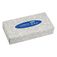 Салфетки косметические OfficeClean, 2-слойные, 20*20см, в картонном боксе, белые, 100шт. фото Салфетки косметические OfficeClean, 2-слойные, 20*20см, в картонном боксе, белые, 100шт.