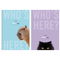 Тетрадь А4 96 л., HATBER, спираль, линия, матовая ламинация, "Кто здесь?" (микс в спайке), 093596, 96Т4лВ2сп