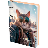 Тетрадь на кольцах А5, 100л., MESHU "Cat and the city", картон, матовая ламинация фото Тетрадь на кольцах А5, 100л., MESHU "Cat and the city", картон, матовая ламинация
