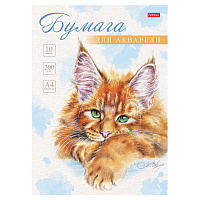 Папка для акварели А4, 10 л., 200 г/м2, 210х297 мм, HATBER, "Рыжий котик", 086706, 10Ба4тВ_29844 фото Папка для акварели А4, 10 л., 200 г/м2, 210х297 мм, HATBER, "Рыжий котик", 086706, 10Ба4тВ_29844