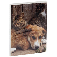 Фотоальбом 36 фото 10*15см, ArtSpace "Friends", мягкая обложка фото Фотоальбом 36 фото 10*15см, ArtSpace "Friends", мягкая обложка
