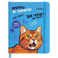 Дневник 1-11 класс 48 л., кожзам (твердая), печать, резинка, конверт, BRAUBERG, "Опять в школу", 107231 фото Дневник 1-11 класс 48 л., кожзам (твердая), печать, резинка, конверт, BRAUBERG, "Опять в школу", 107231