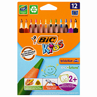 Карандаши цветные BIC Kids Evolution 12 карандашей 12 цветов трёхгранные (утолщённые) фото Карандаши цветные BIC Kids Evolution 12 карандашей 12 цветов трёхгранные (утолщённые)