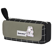 Пенал мягкий BRAUBERG, 1 отделение, карман на липучке, значок, 22х10х6 см, Black checkered, 273579 фото Пенал мягкий BRAUBERG, 1 отделение, карман на липучке, значок, 22х10х6 см, Black checkered, 273579