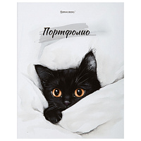 Папка-портфолио универсальная, 4 кольца, 20 файлов 10 вкладышей, 7БЦ матовая, BRAUBERG, 117557 фото Папка-портфолио универсальная, 4 кольца, 20 файлов 10 вкладышей, 7БЦ матовая, BRAUBERG, 117557