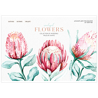 Альбом для рисования 40л., А4, на скрепке Greenwich Line "Flowers collection", 120г/м2 фото Альбом для рисования 40л., А4, на скрепке Greenwich Line "Flowers collection", 120г/м2