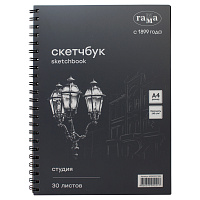 Альбом для графики, 30л., А4, на спирали Гамма "Студия", черный, 140г/м2 фото Альбом для графики, 30л., А4, на спирали Гамма "Студия", черный, 140г/м2