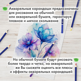 Карандаши художественные цветные акварельные BRAUBERG ART CLASSIC, 36 цветов, грифель 3,3 мм, 181531