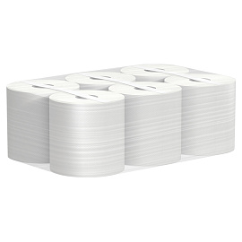 Полотенца бумажные рулонные Veiro Professional Basic M2 1-слойные серые 6 рулонов по 300 метров (KP105)