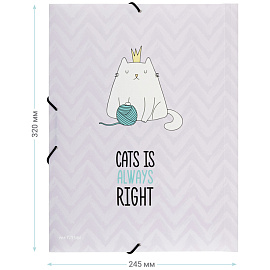 Папка на резинке MESHU "Right cat" А4, 500мкм