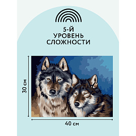 Картина по номерам на холсте ТРИ СОВЫ "Волки", 30*40, с акриловыми красками и кистями