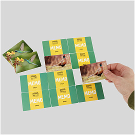 Игра настольная ТРИ СОВЫ "Мемо. Птицы", 50 карточек, картонная коробка