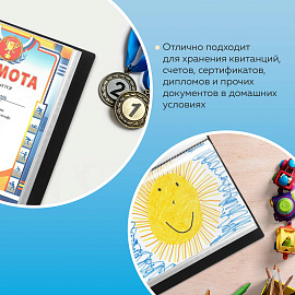 Папка 80 вкладышей BRAUBERG стандарт, черная, 0,9 мм, 221608