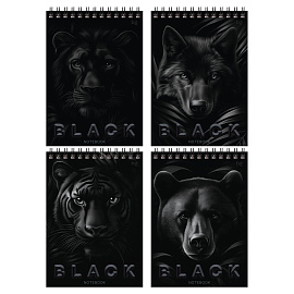 Блокнот А5 40л. на гребне BG "Just black