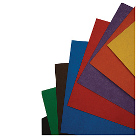 Картон цветной А5, Мульти-Пульти, 8л., 8цв., немелованный, в папке, "Приключения Енота