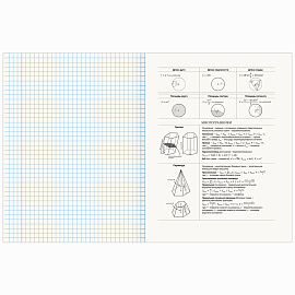 Тетрадь предметная "AVOCADO" 48 л., глянцевый лак, ГЕОМЕТРИЯ, клетка, BRAUBERG, 404278