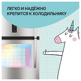 Планер магнитно-маркерный 21х29.7 см разноцветный с маркером Meshu Gradient