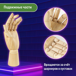 Манекен художественный BRAUBERG ART CLASSIC "РУКА", высота 25 см., женская левая, дерево, 191298