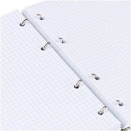 Тетрадь на кольцах А5, 240л., BG "Весна навсегда", глянцевая ламинация